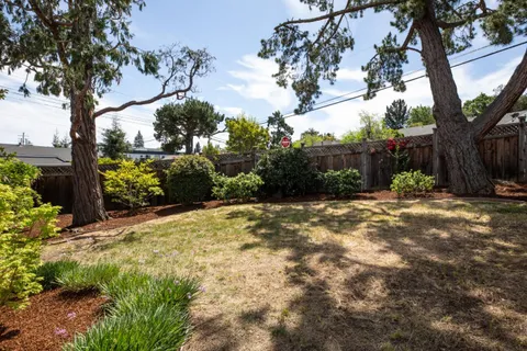 a view of a yard with plants and trees