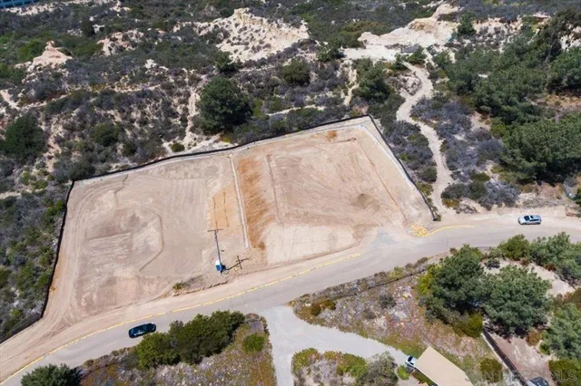 a view of a yard with plants