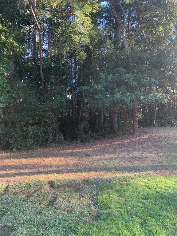 Cherry Ridge Land O Lakes, FL 34639 - Photo 1 of 1 Gallery Image 1