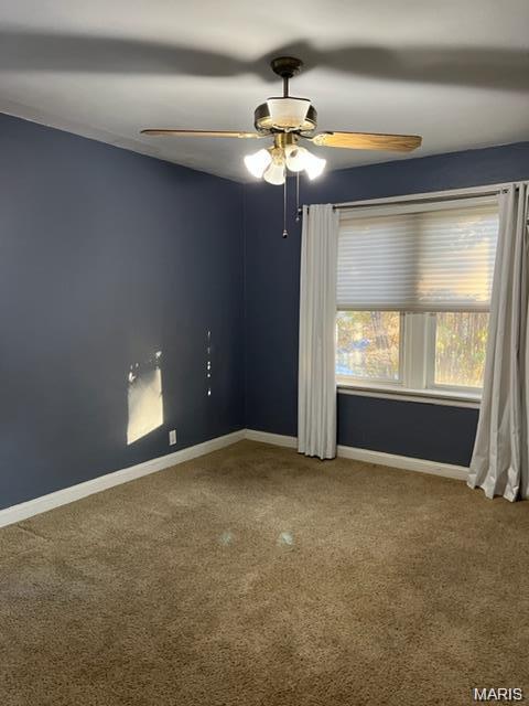 6317 Potomac Street St. Louis, MO 63139 - Photo 6 of 16