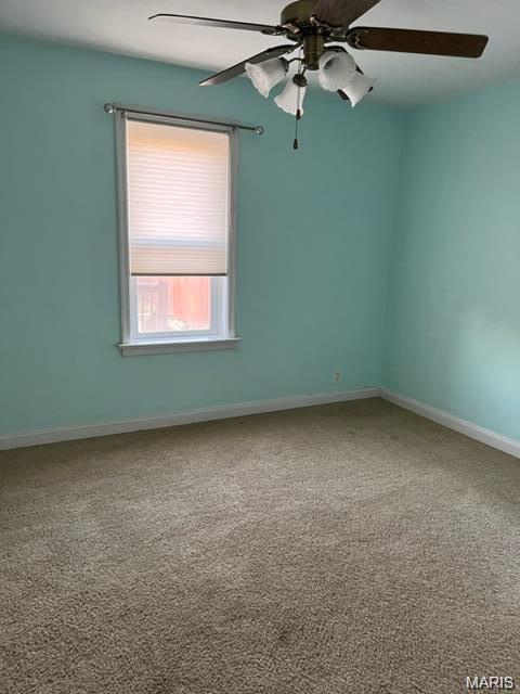 6317 Potomac Street St. Louis, MO 63139 - Photo 8 of 16