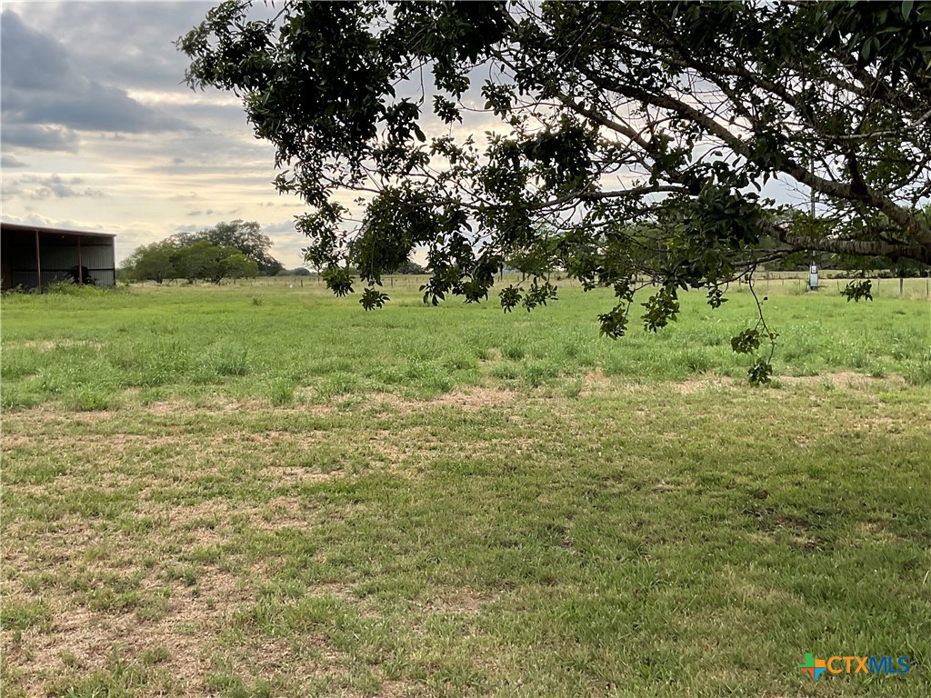 383 County Road 233 Hallettsville, TX 77964 - Photo 41 of 48 a view of a green field with trees