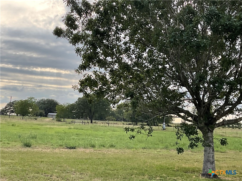383 County Road 233 Hallettsville, TX 77964 - Photo 42 of 48 a view of grassy field with trees