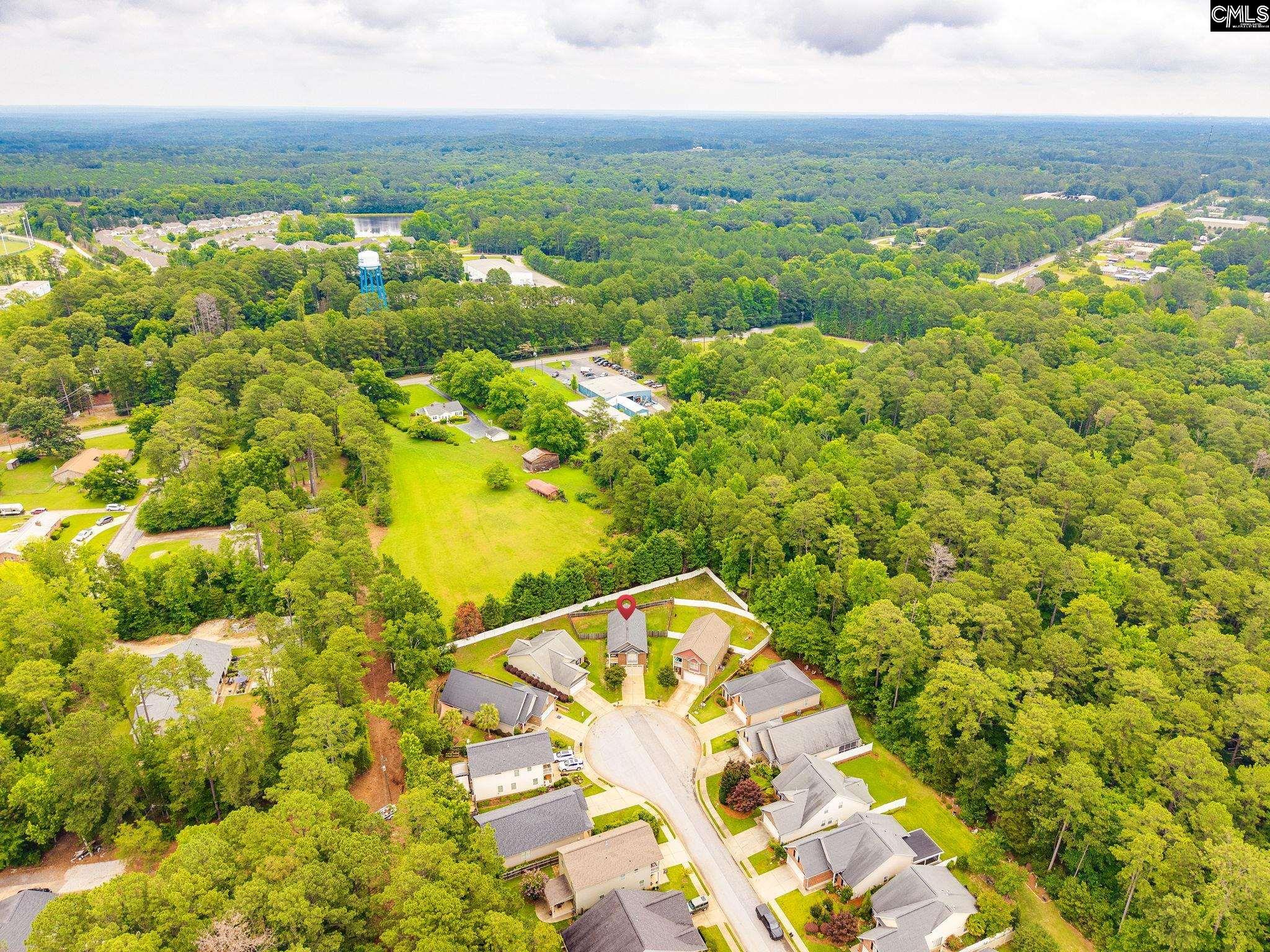 54 Revelstone Way Chapin, SC 29036 - Photo 38 of 40