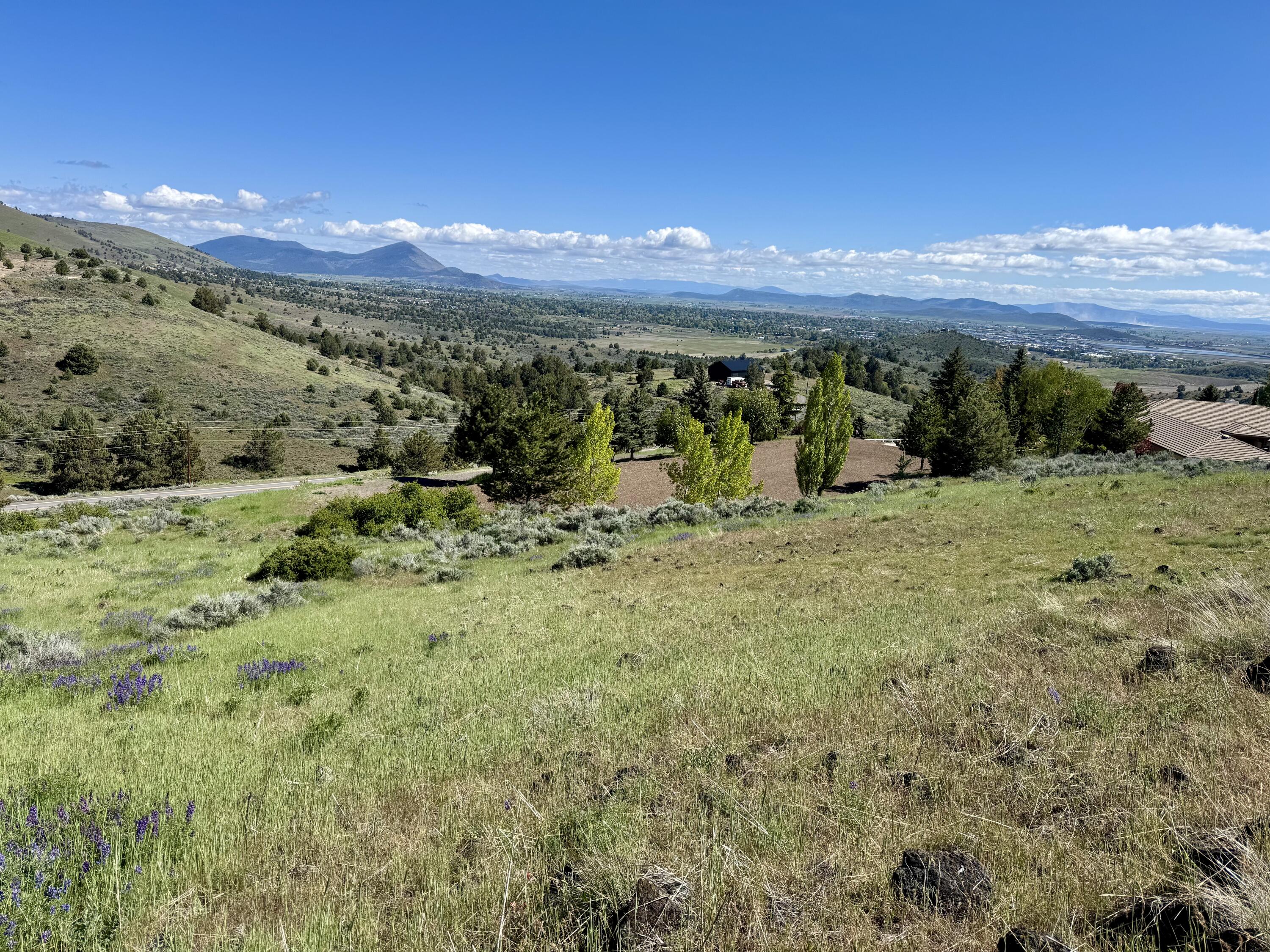 0 Plum Hill Road, Unit LOT 702 Klamath Falls, OR 97601 - Photo 10 of 21