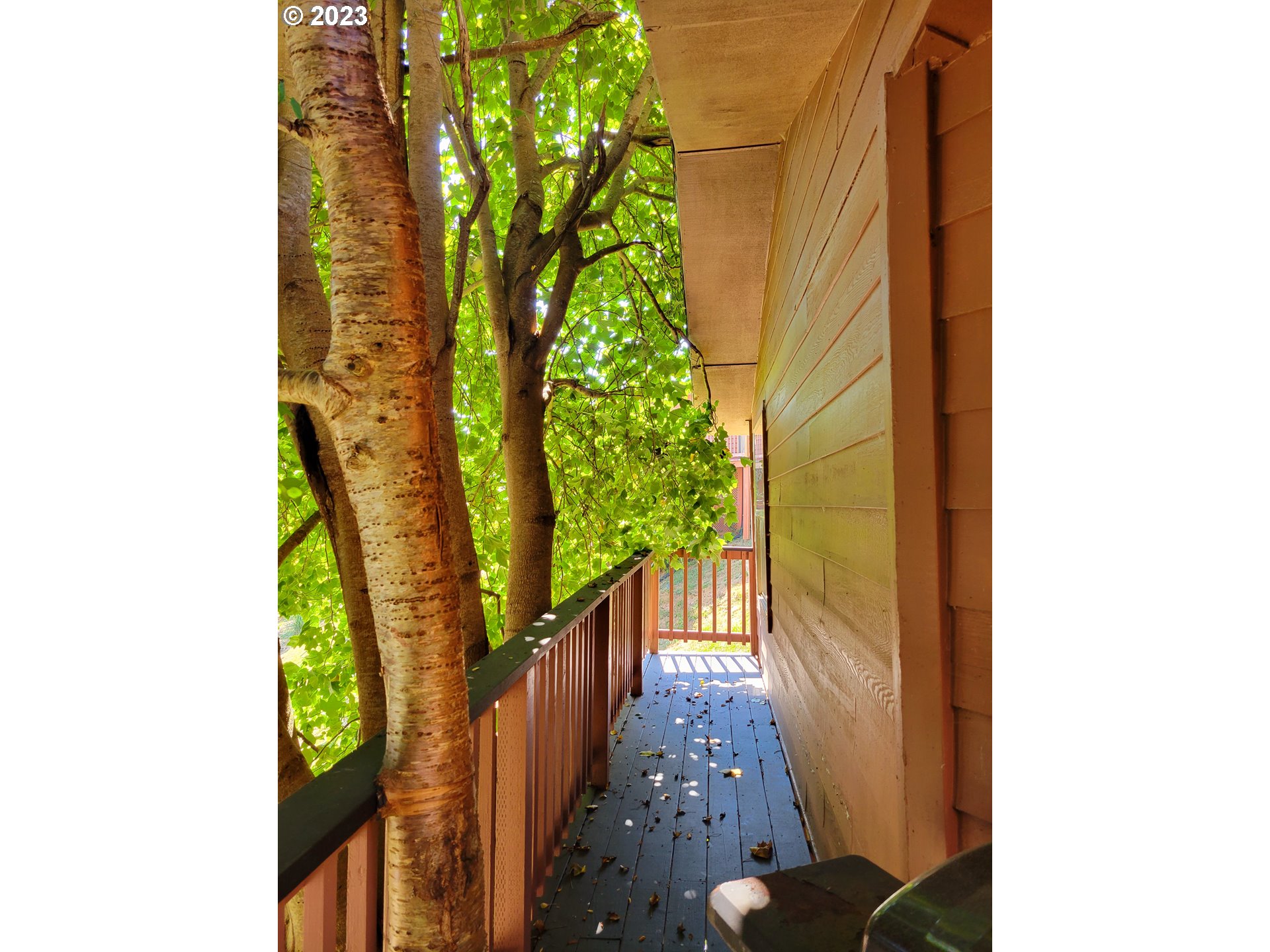 19921 Whaleshead Road, Unit M3 Brookings, OR 97415 - Photo 29 of 37