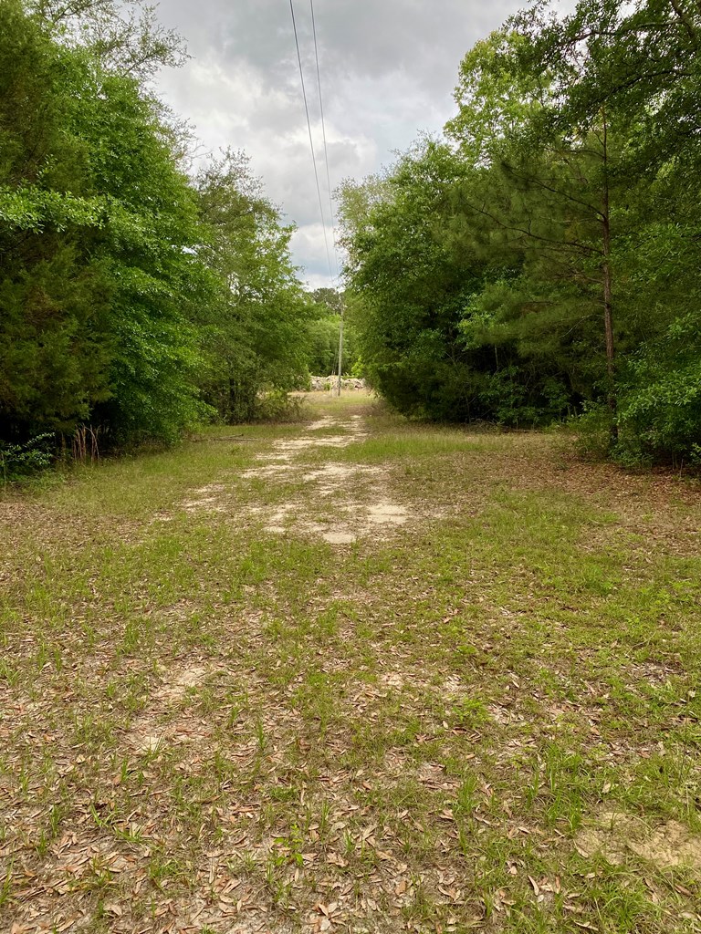 3-acres Grove Road Hartford, AL 36344 - Photo 3 of 6