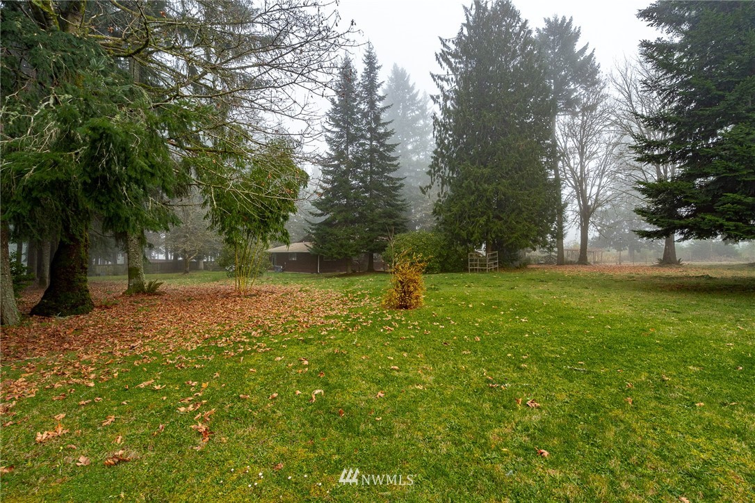 180 Winter Road Winlock, WA 98596 - Photo 18 of 40 a view of outdoor space with deck and trees