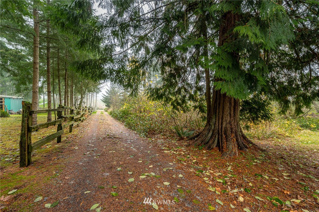 180 Winter Road Winlock, WA 98596 - Photo 20 of 40 a view of path along with trees