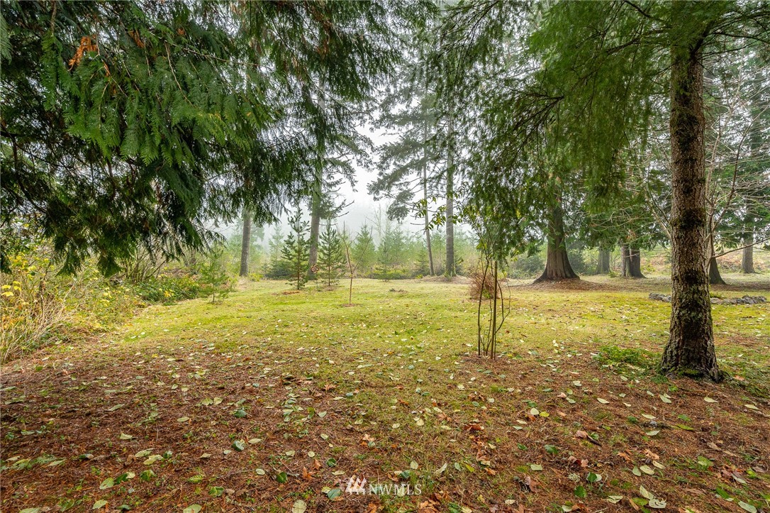 180 Winter Road Winlock, WA 98596 - Photo 21 of 40 a view of yard with trees