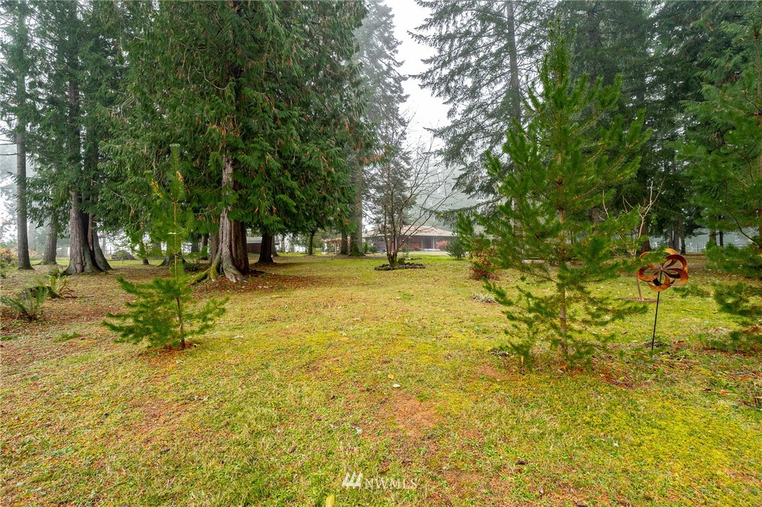 180 Winter Road Winlock, WA 98596 - Photo 22 of 40 a view of yard with swimming pool and trees