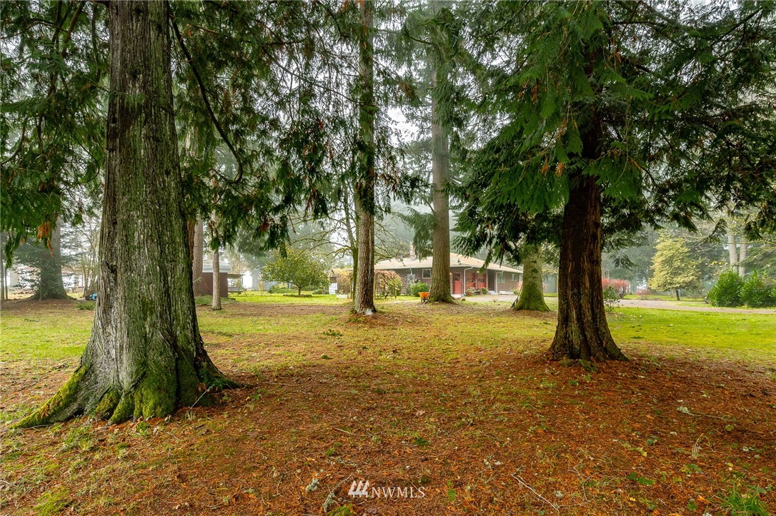 180 Winter Road Winlock, WA 98596 - Photo 23 of 40 a view of outdoor space with trees