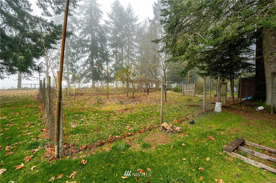 180 Winter Road Winlock, WA 98596 - Photo 24 of 40 a view of yard with tree