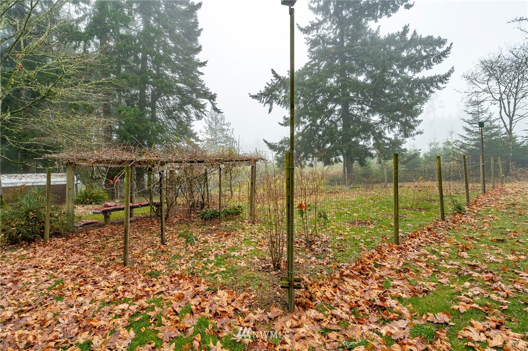 180 Winter Road Winlock, WA 98596 - Photo 27 of 40 a view of a garden with a slide