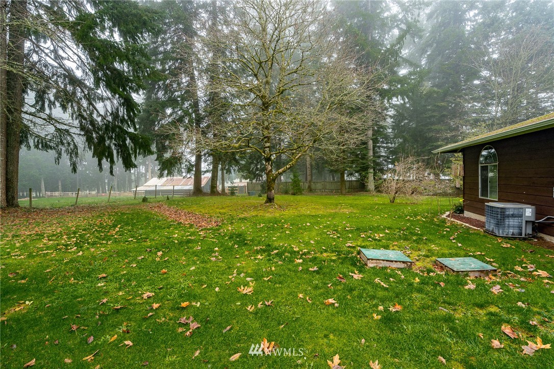 180 Winter Road Winlock, WA 98596 - Photo 31 of 40 a view of a park with large trees
