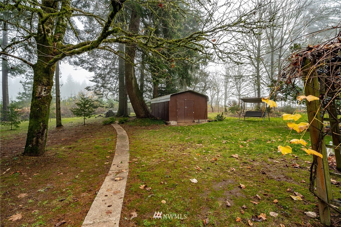 180 Winter Road Winlock, WA 98596 - Photo 34 of 40 a view of a yard with large trees