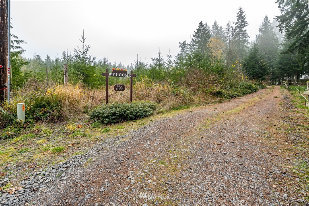 180 Winter Road Winlock, WA 98596 - Photo 35 of 40 a view of a field with trees in the background