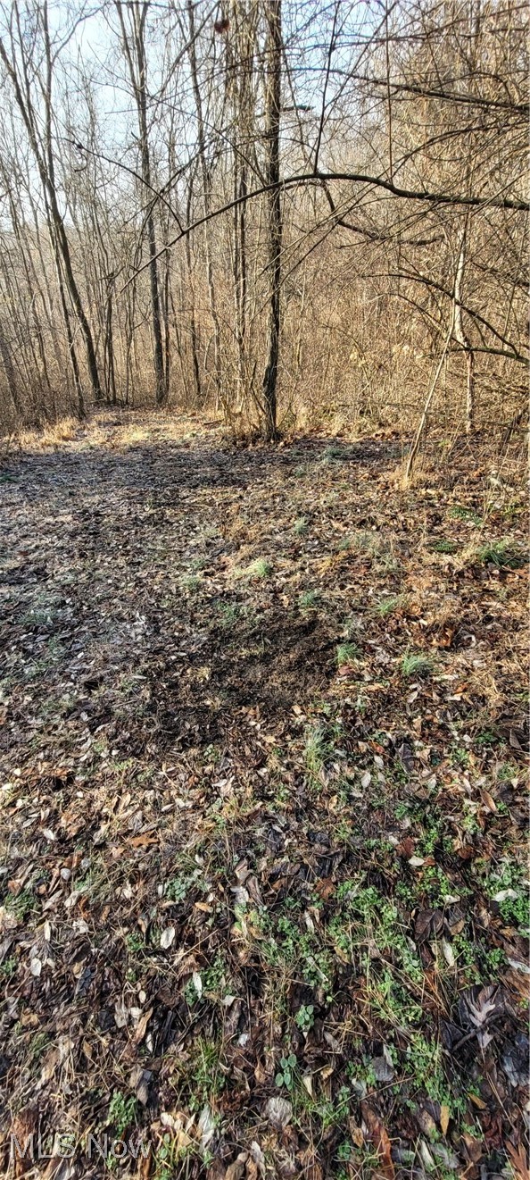 399 Township Road Coshocton, OH 43812 - Photo 17 of 50