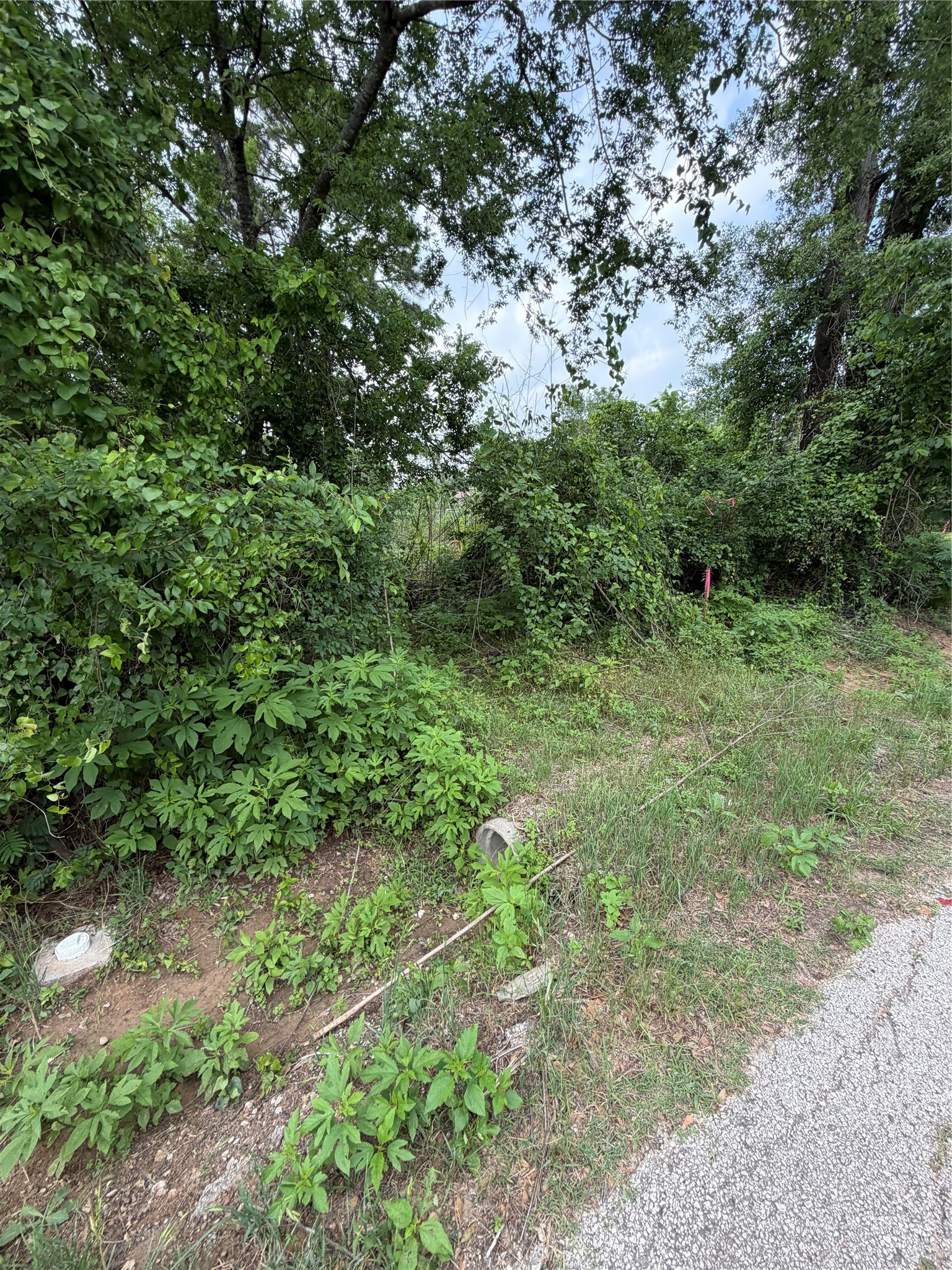Tbd Tbd I Avenue Conroe, TX 77301 - Photo 6 of 9