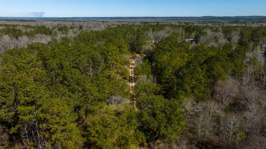 415 Boswell Road Phenix City, AL 36869 - Photo 17 of 26