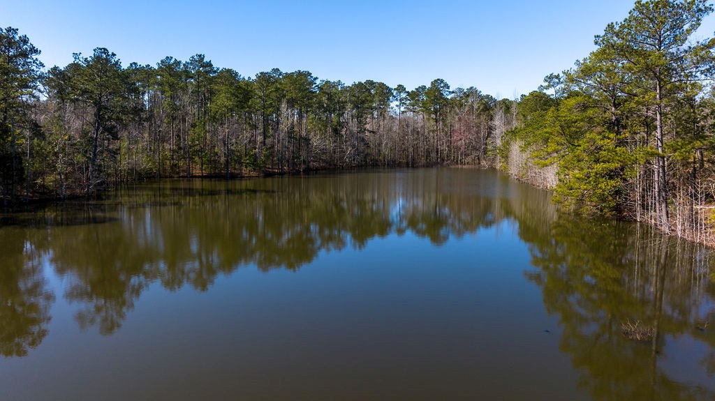 415 Boswell Road Phenix City, AL 36869 - Photo 25 of 26