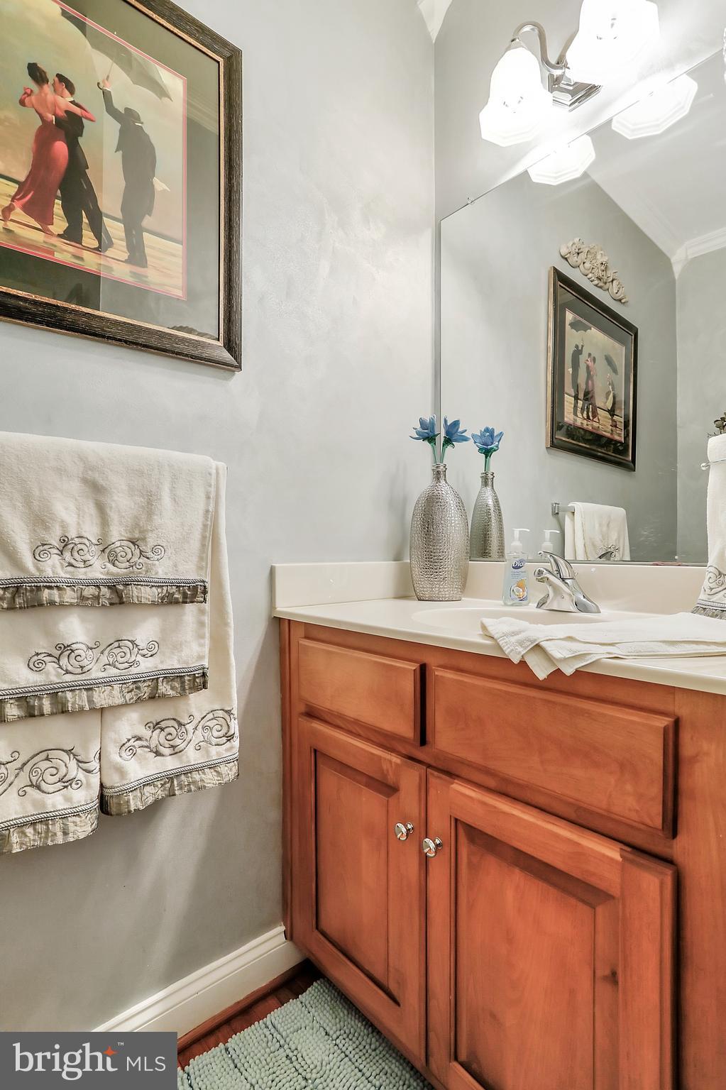9404 Stottlemeyer Road Boonsboro, MD 21713 - Photo 19 of 81 Main Floor Guest Bath; Spacious!