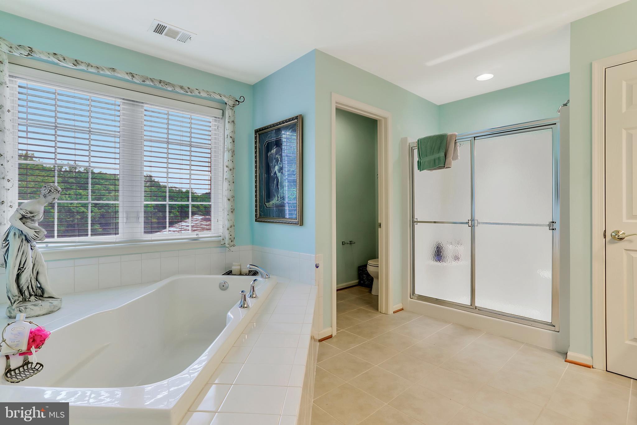 9404 Stottlemeyer Road Boonsboro, MD 21713 - Photo 43 of 81 Master Bath w/ Soaking Tub / Sep. Shower