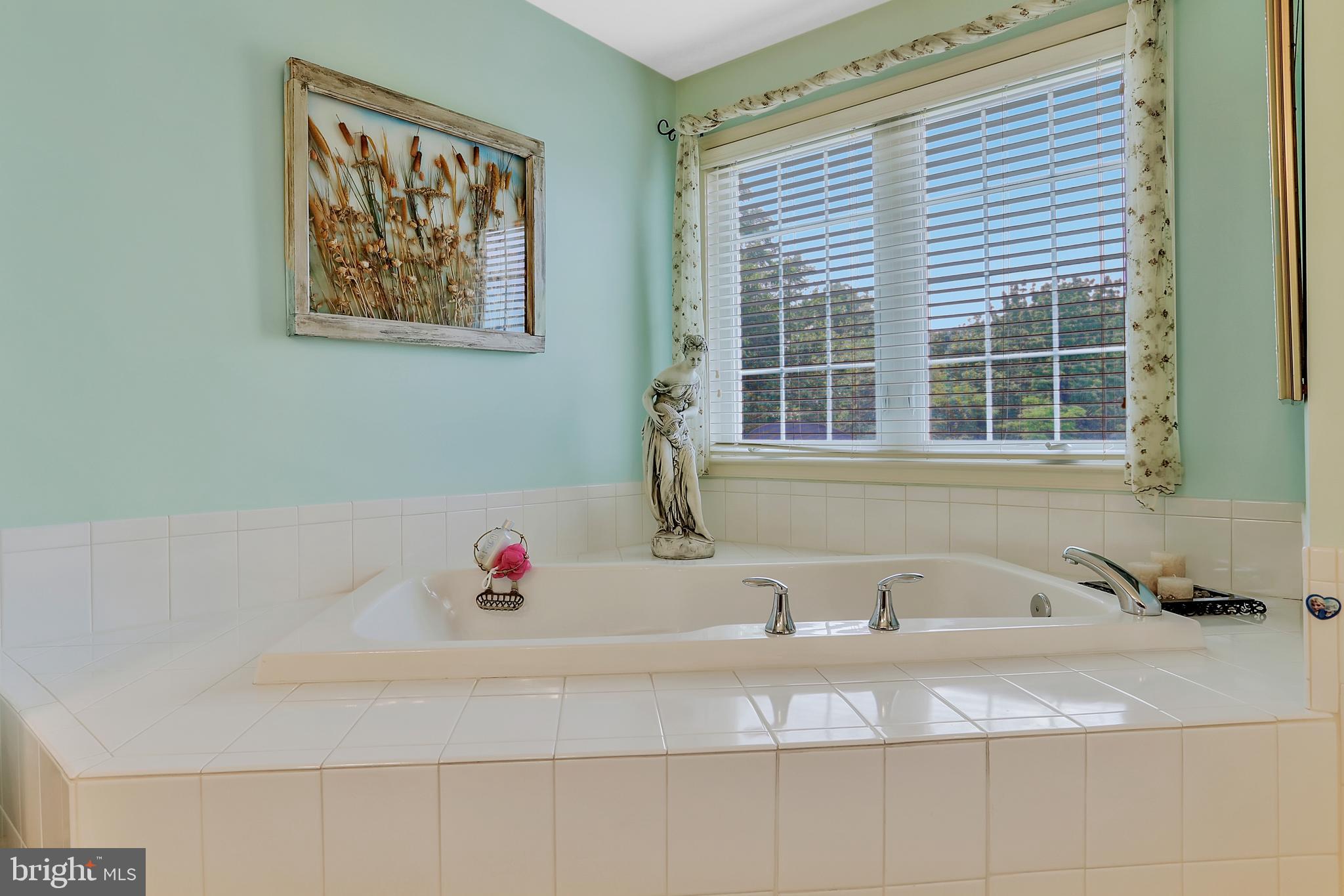 9404 Stottlemeyer Road Boonsboro, MD 21713 - Photo 45 of 81 Spacious Soaking Tub - w/ Lighting & Views!!