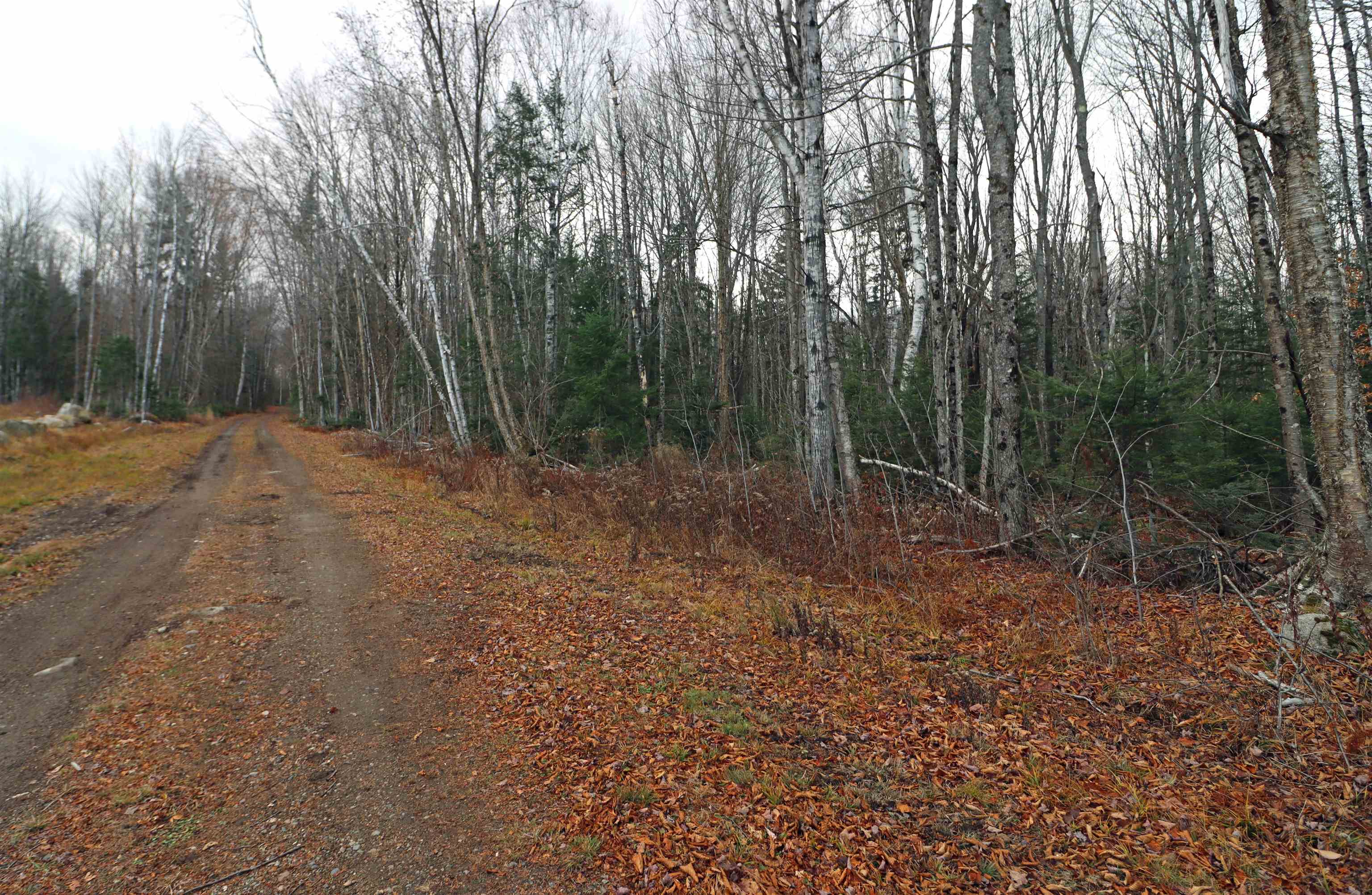 State Garage Road Milan, NH 03588 - Photo 3 of 4