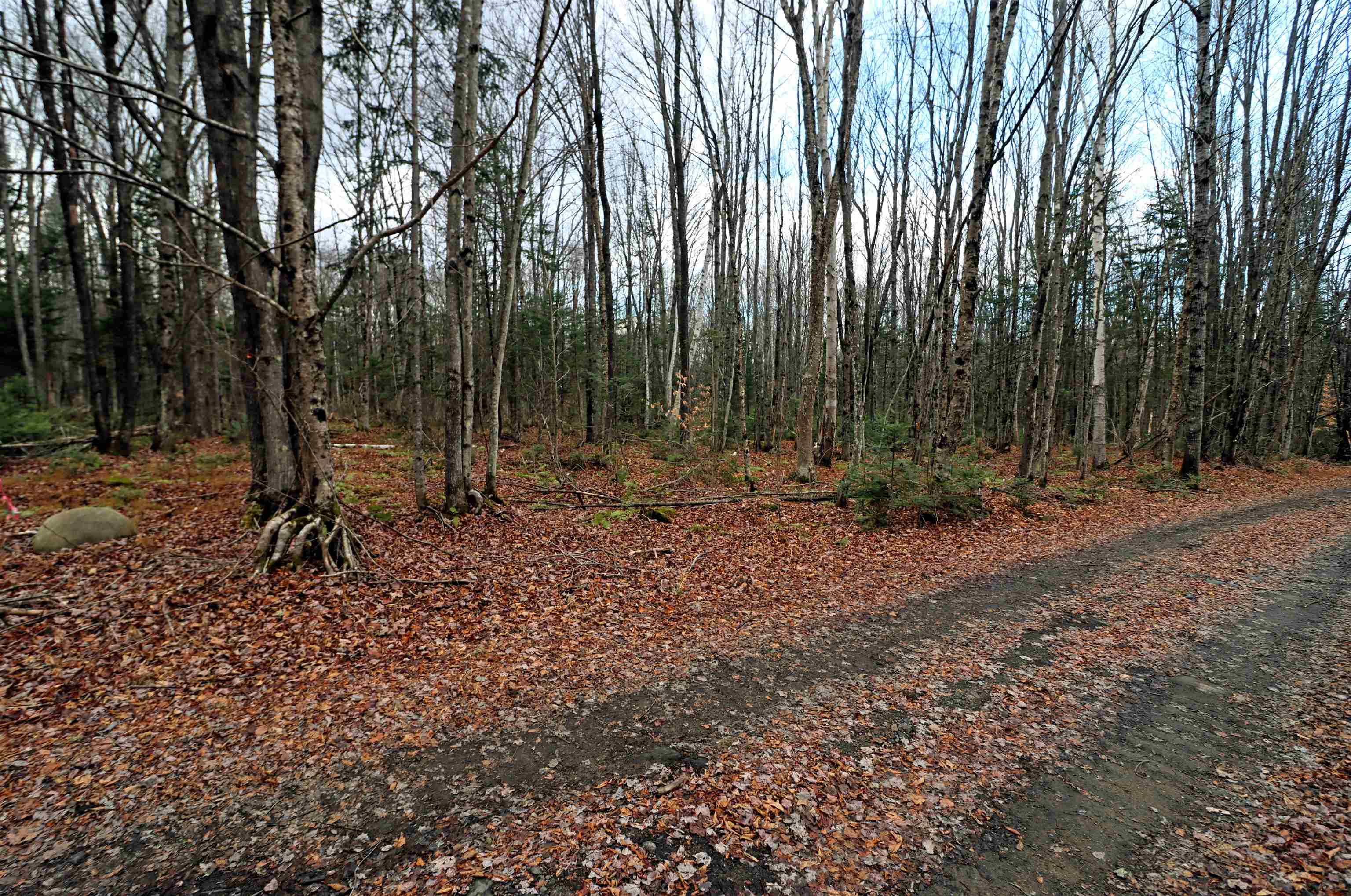 State Garage Road Milan, NH 03588 - Photo 4 of 4