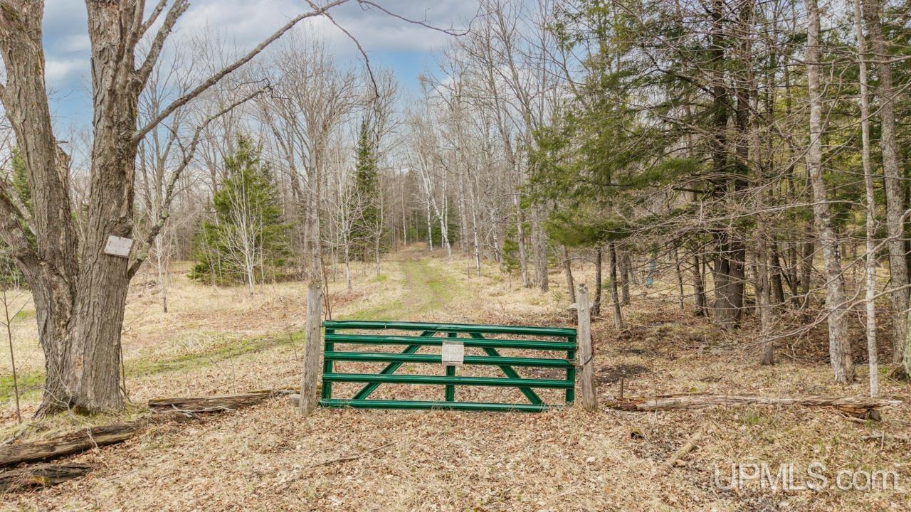 Tbd Hupp Road Vulcan, MI 49892 - Photo 3 of 12