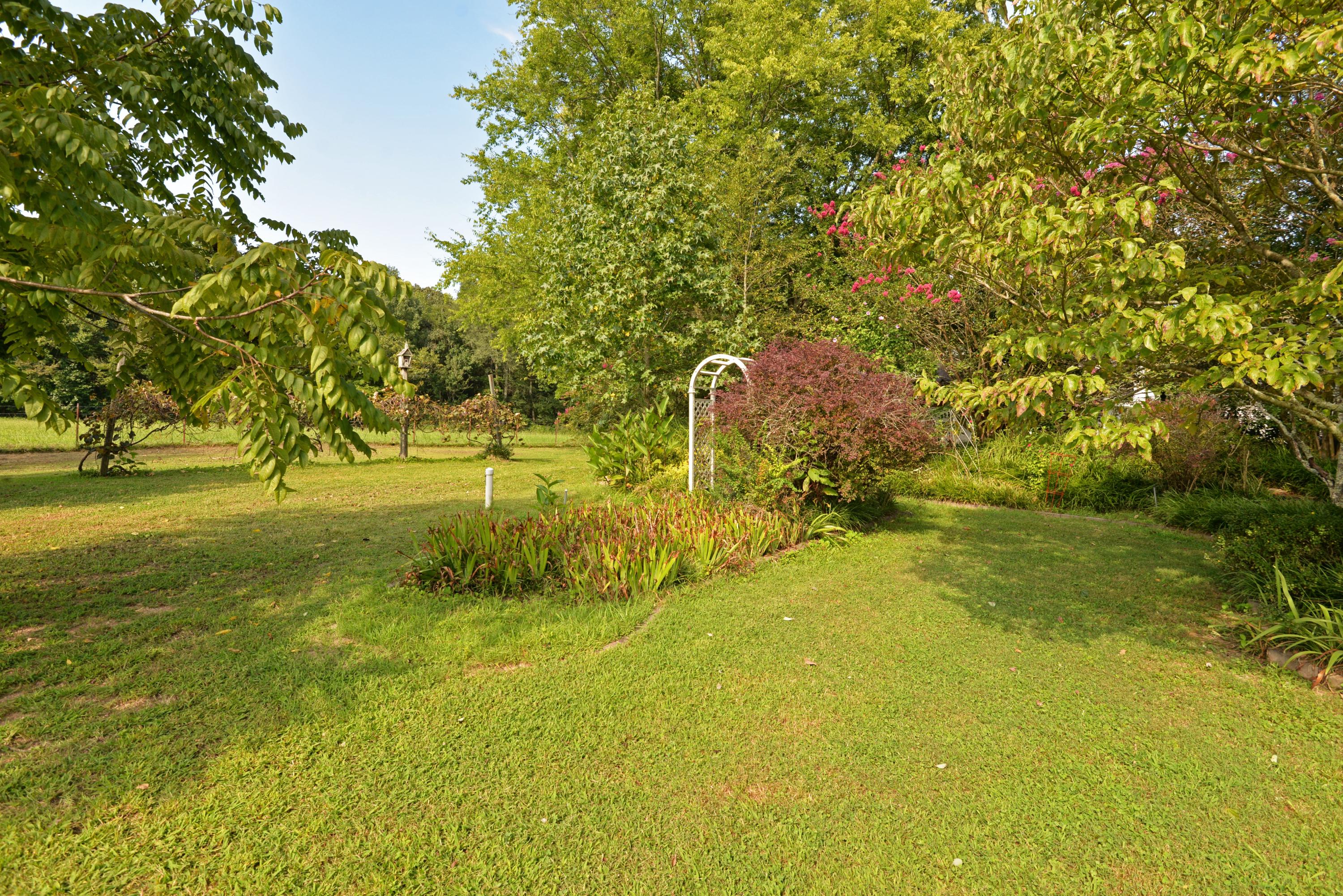 892 Red Clay Road Cleveland, TN 37311 - Photo 42 of 47 Back yard arbor - med