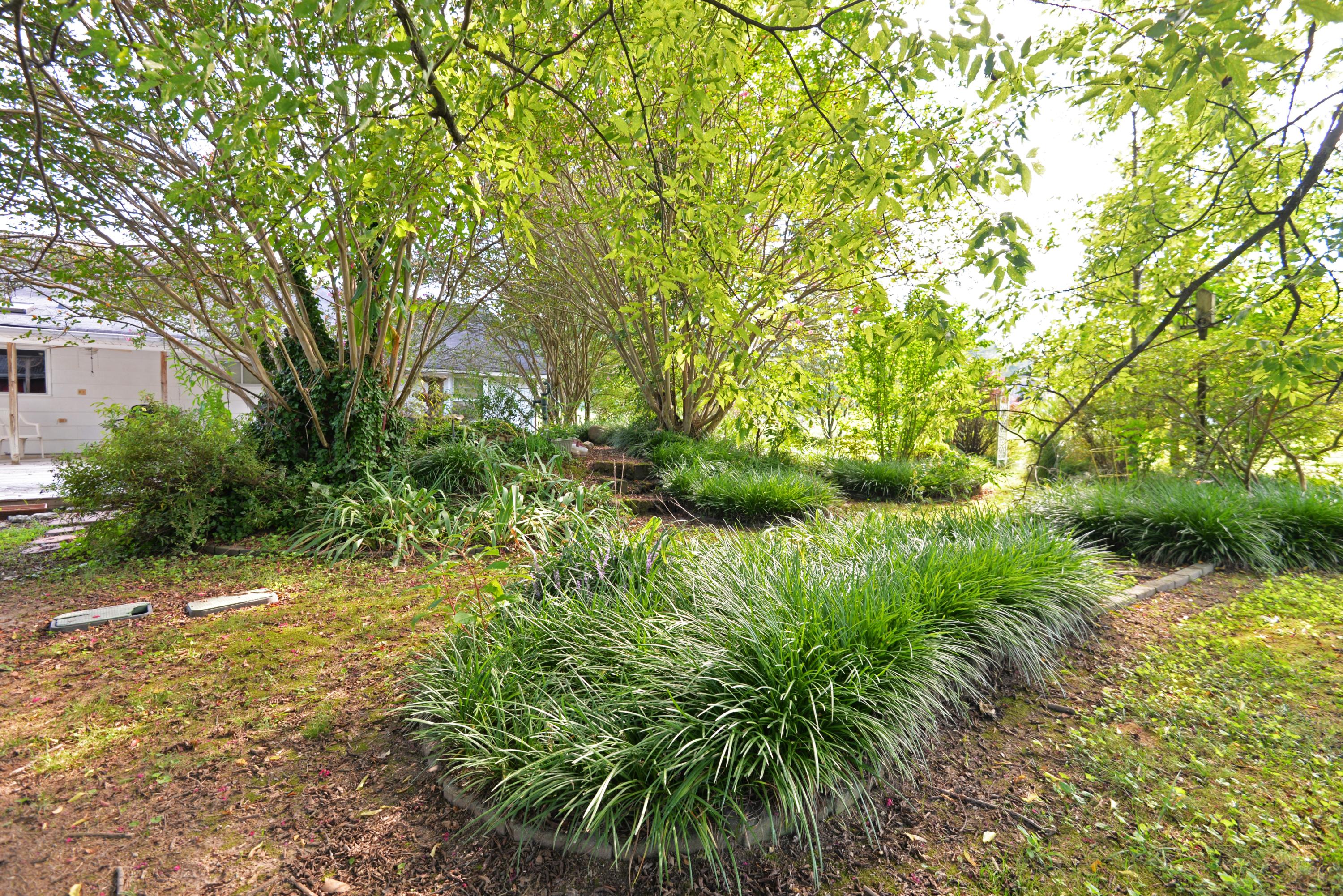 892 Red Clay Road Cleveland, TN 37311 - Photo 43 of 47 Back yard landscaping - med