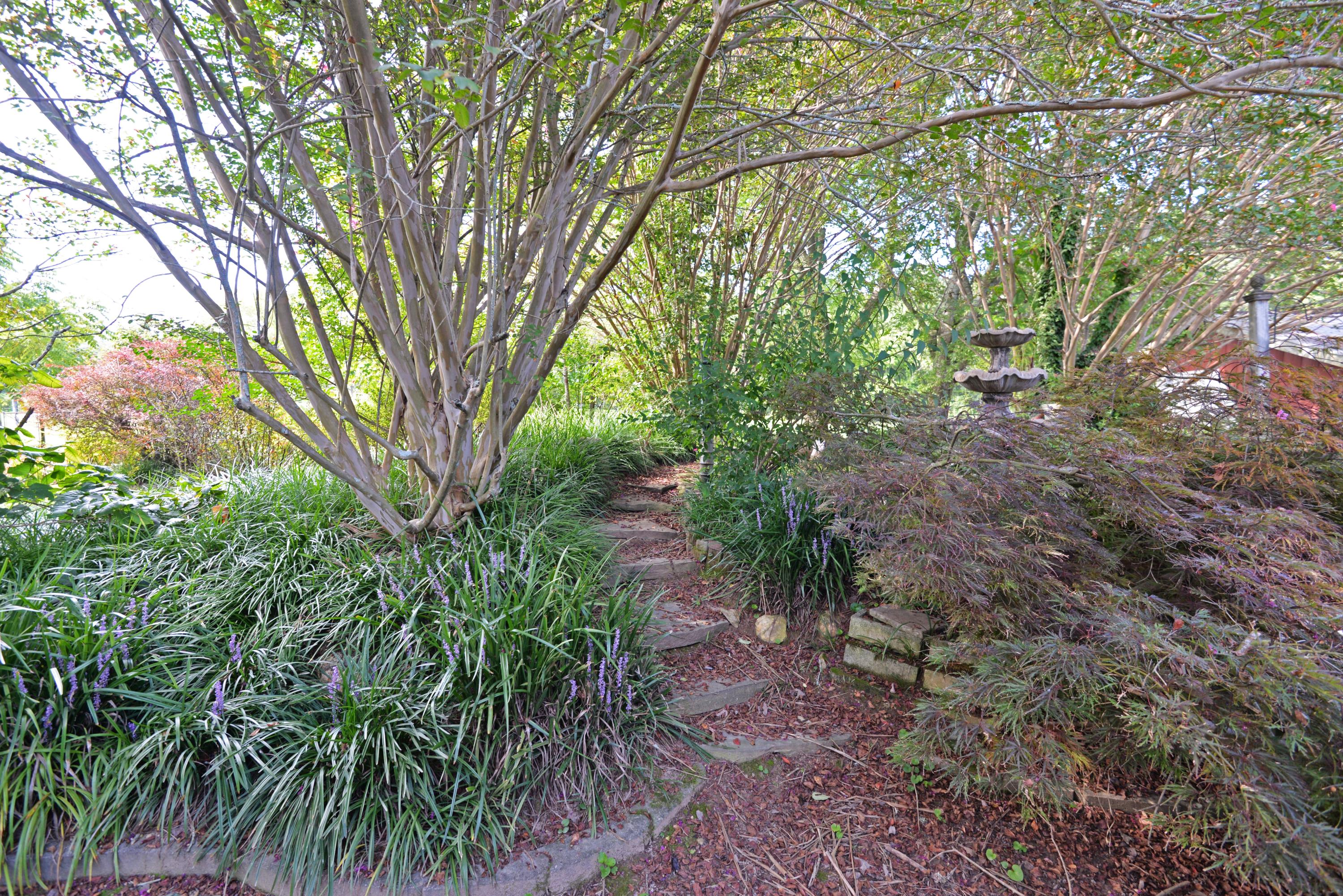 892 Red Clay Road Cleveland, TN 37311 - Photo 44 of 47 Back yard landscaping and fountain - med