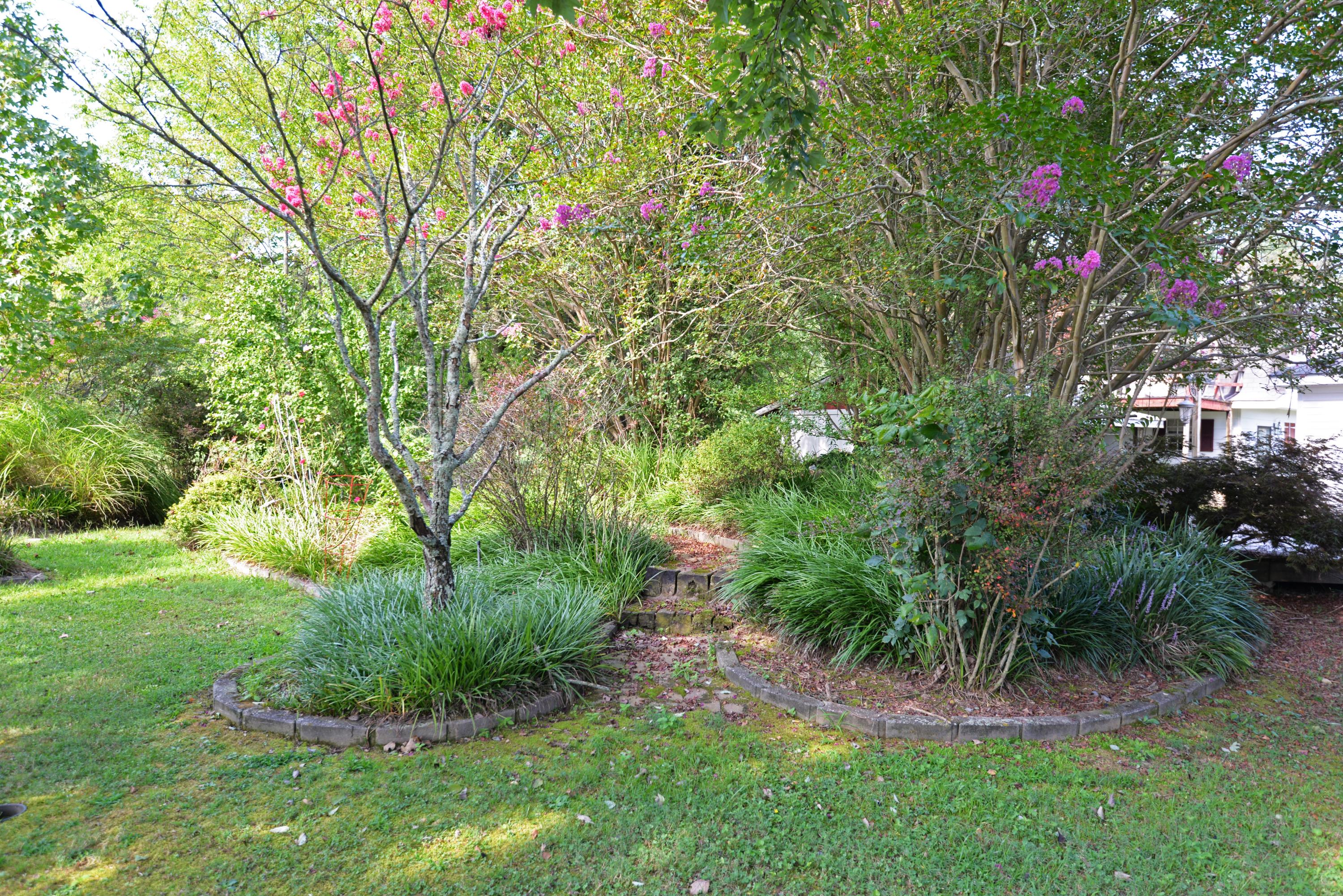 892 Red Clay Road Cleveland, TN 37311 - Photo 45 of 47 Back yard landscaping view 2 - med