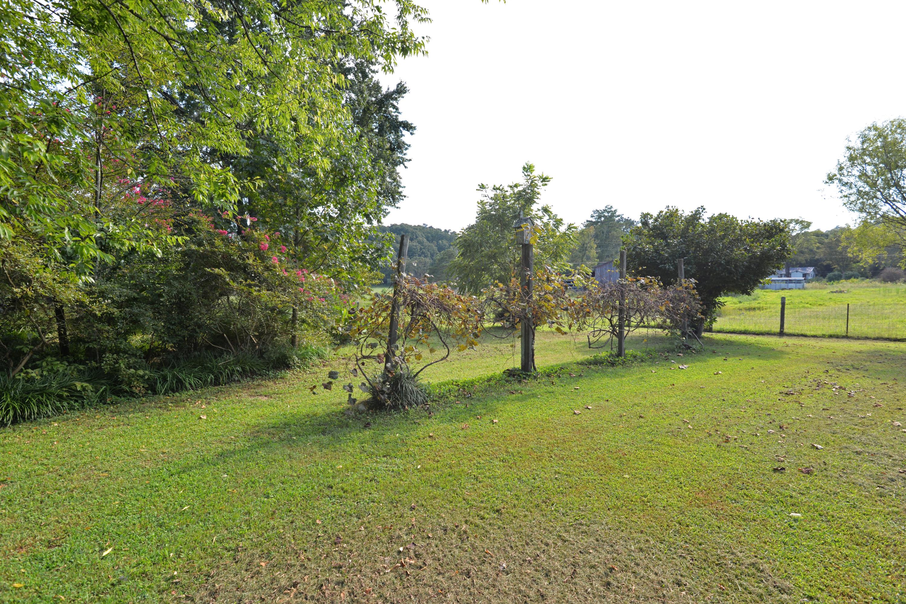 892 Red Clay Road Cleveland, TN 37311 - Photo 46 of 47 Gardening area - med