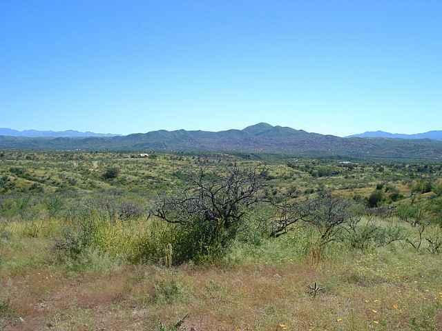 431 Camino Brizza Bonel Rio Rico, AZ 85648 - Photo 3 of 9