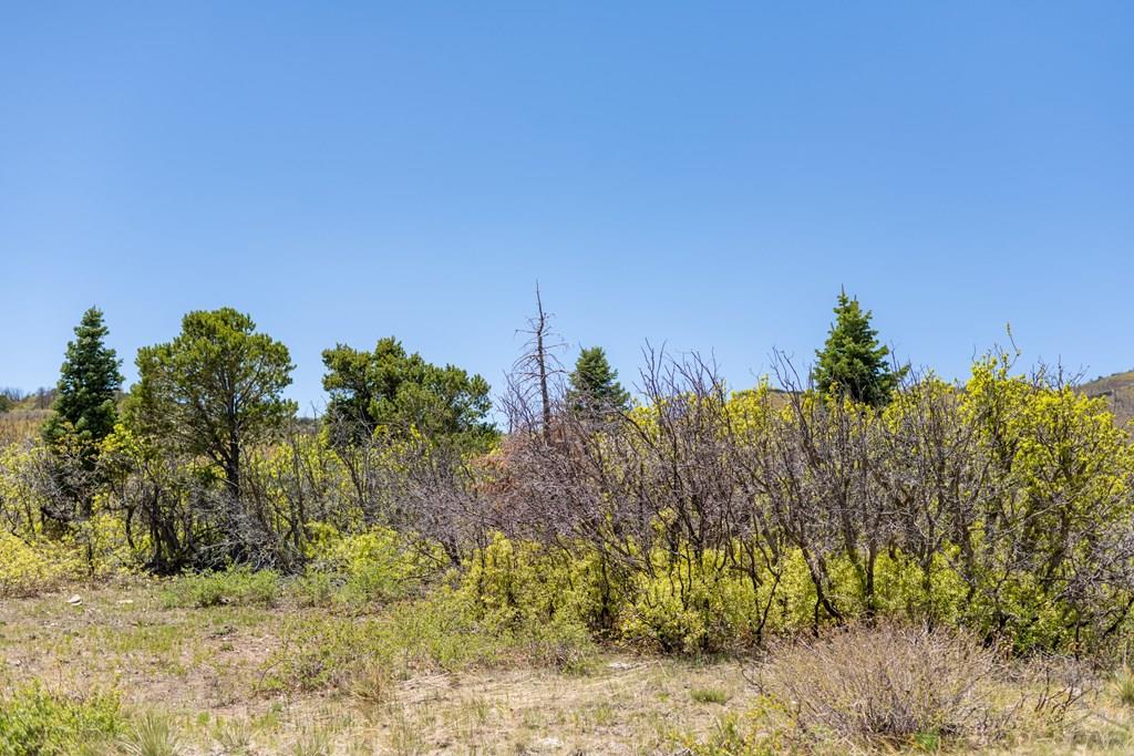Lot 25 Majors Ranch Walsenburg, CO 81089 - Photo 23 of 34