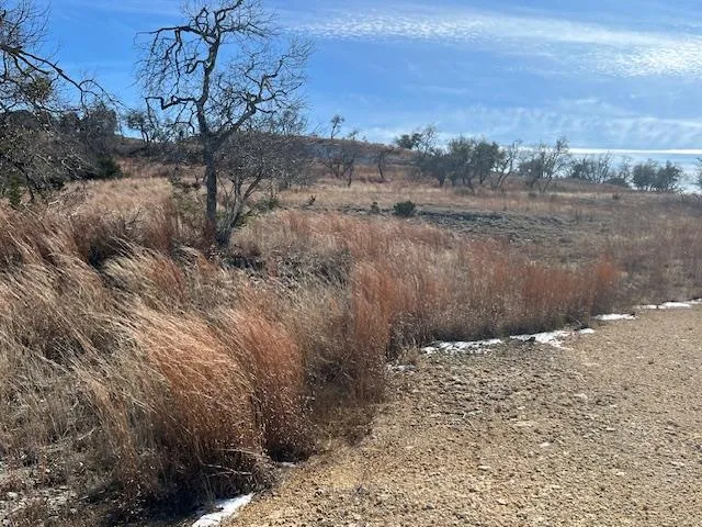 $309,000 | Lot 136 Falling Oak Drive, Unit 136, Blanco, TX 78606