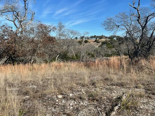 $309,000 | Lot 136 Falling Oak Drive, Unit 136, Blanco, TX 78606