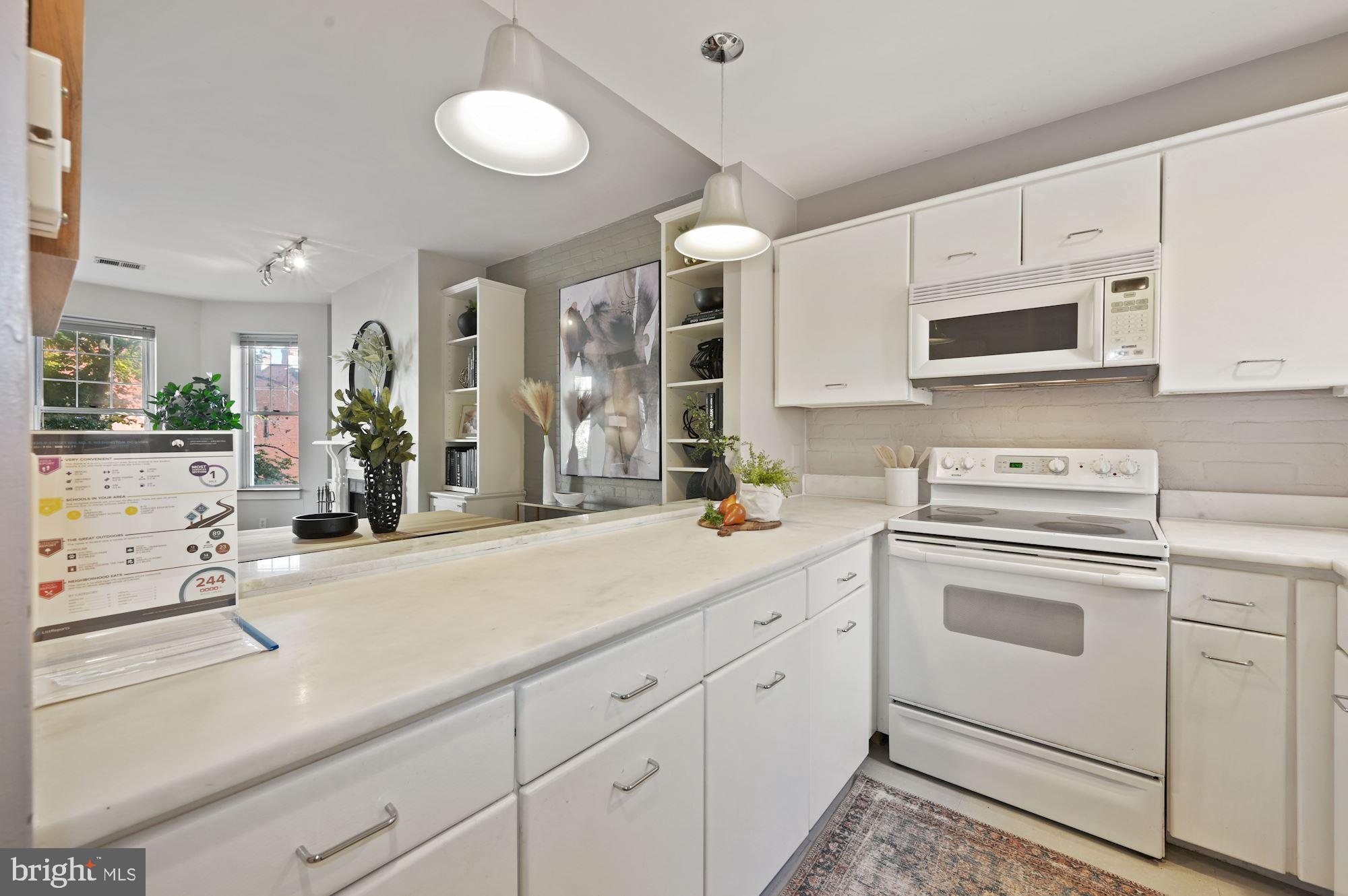 1320 R Street Northwest, Unit 5 Washington, DC 20009 - Photo 9 of 17 Your Chop 'n Chat kitchen!