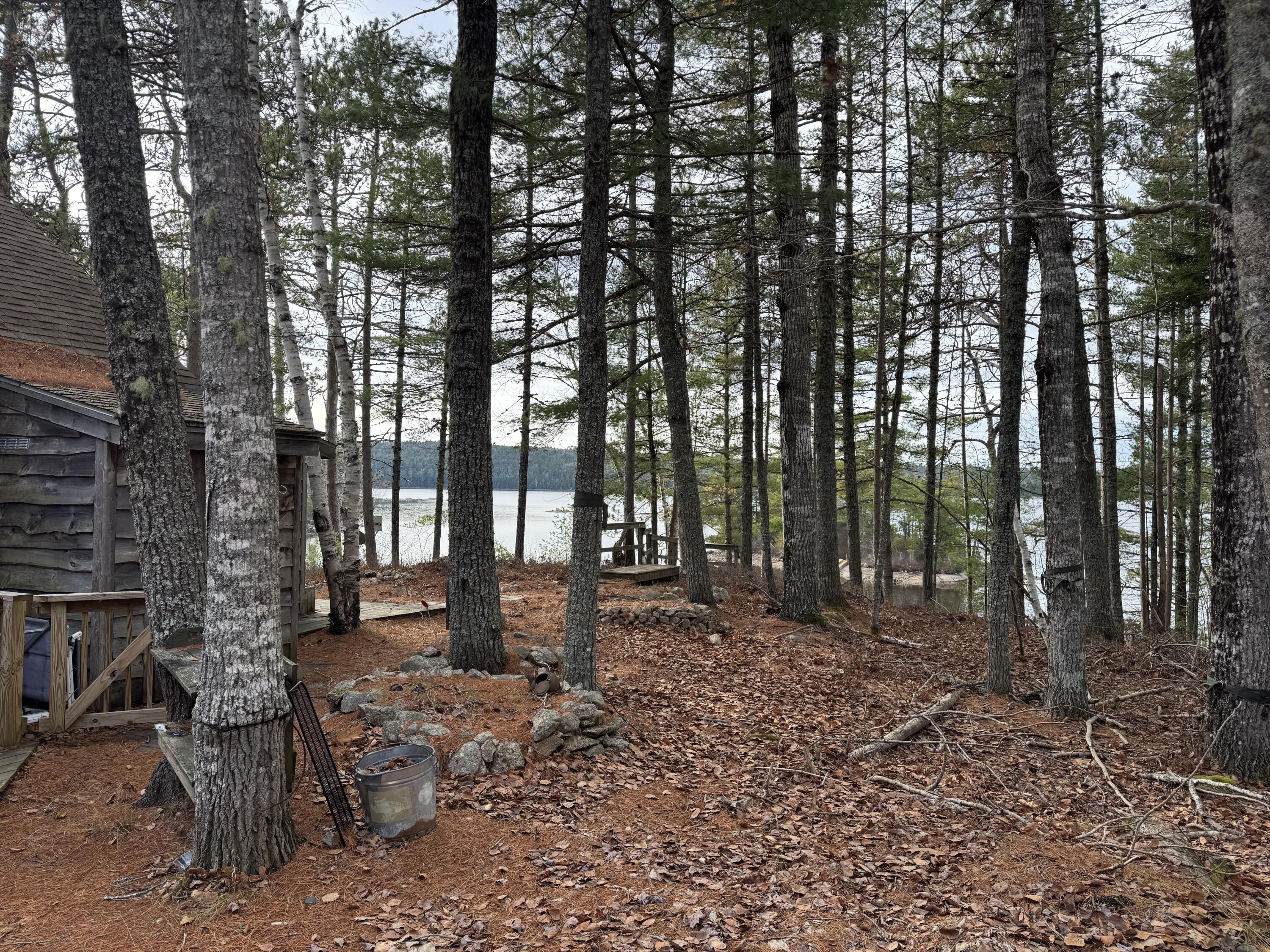 422 Bonney Brook Road Princeton, ME 04668 - Photo 8 of 48