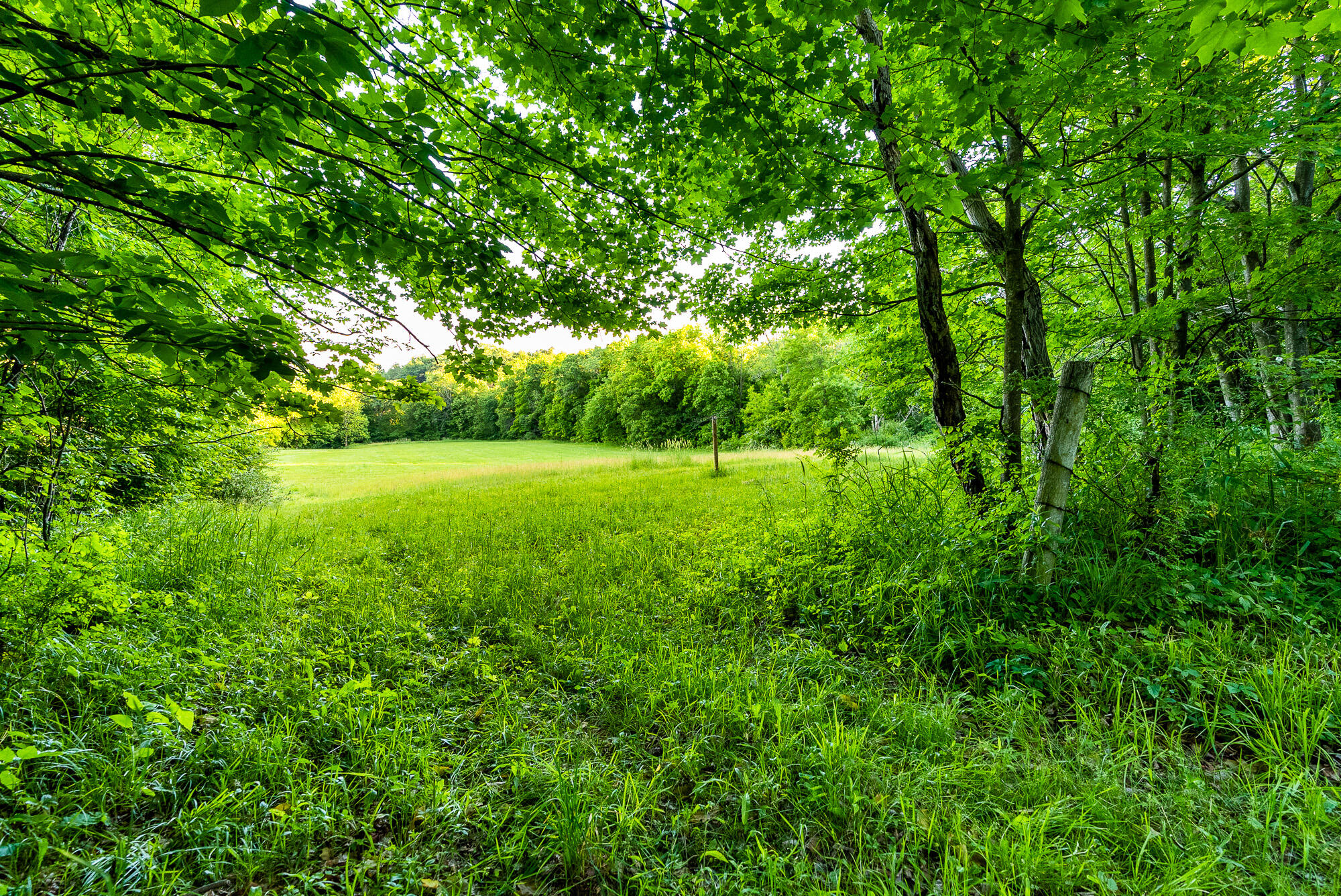 Lt0 Denzer Road North Freedom, WI 53951 - Photo 55 of 68 Sauk-County-WI-54-Acres-Land-For-Sale-55