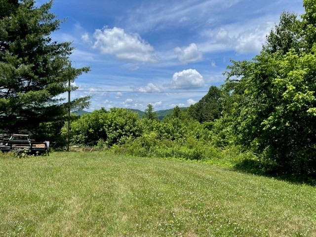 4 Katy Hollar Rd. Road Sevierville, TN 37862 - Photo 6 of 12