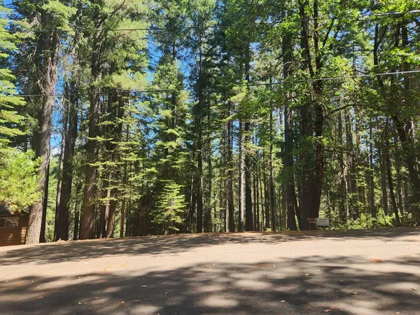 a view of a house with a tree
