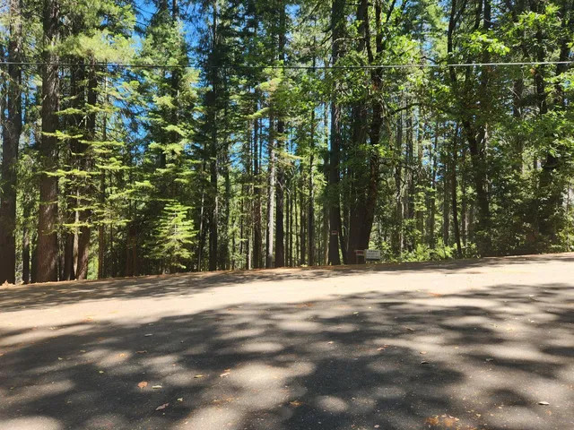 a view of outdoor space with trees