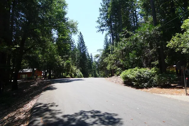 a view of a park with slide