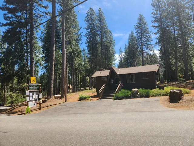 a view of a street with benches sitting below a tree