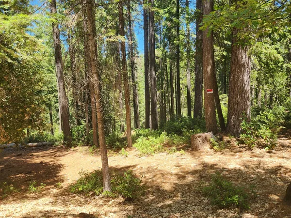 a view of outdoor space and yard