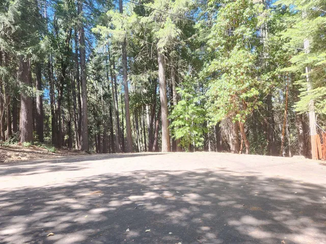 a view of a yard with large trees
